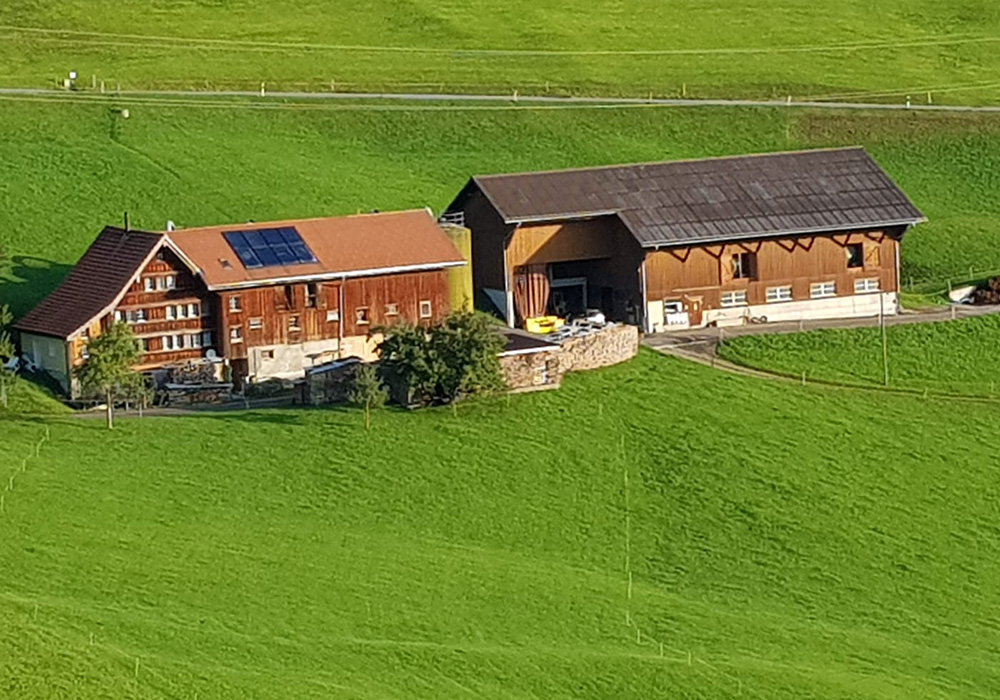 Familie Signer, Halbjahreslieferant